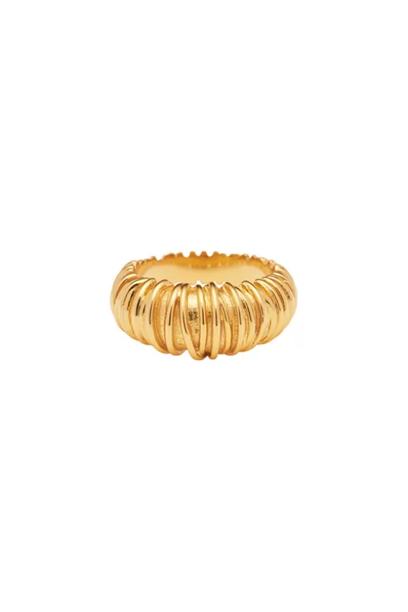 Women Amber Sceats Rings-Louis Ring